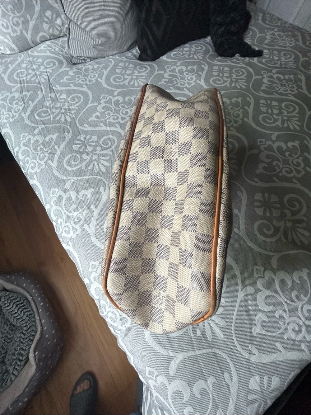 Louis Vuitton Damier Purse Single Strap with Coa - Picture 13 of 16